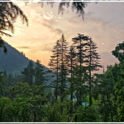 Finally, out of office..Week 2 (Thirthan Valley)